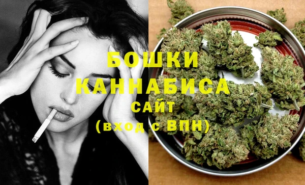 молекула духа Бердск