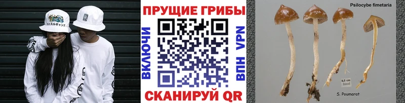 закладки  Константиновск  Галлюциногенные грибы ЛСД 